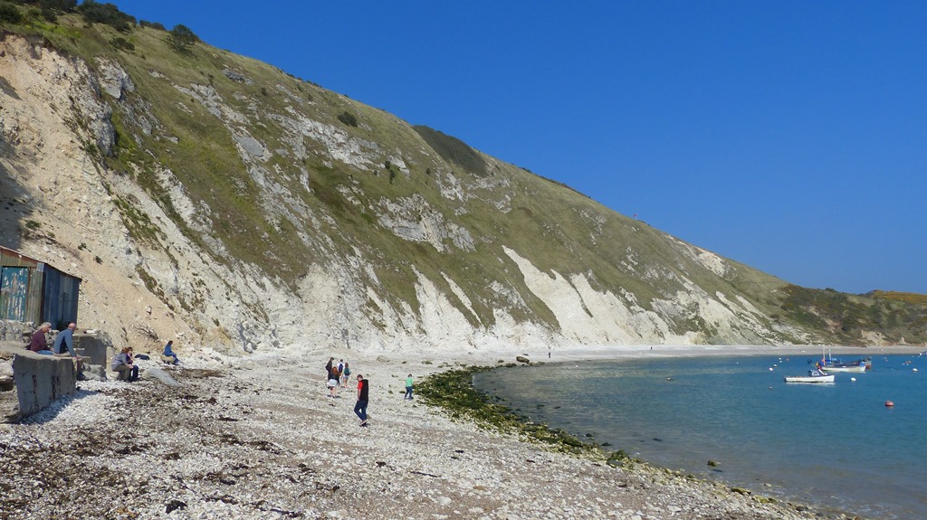 Chalk Cliff At Lulworth Cove Dr M Goes Wild