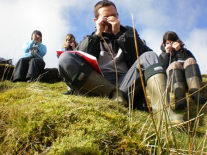 Here are all the Botanists!