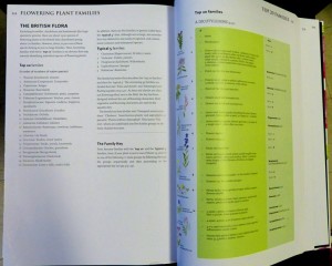 David Streeters Top 20 Plant Families