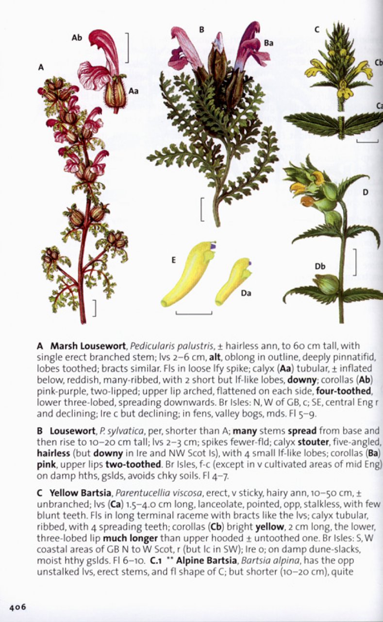 tools of the extreme botanists trade #3: plant identification guides