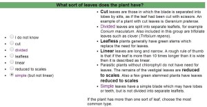 Q12 Sort of leaves = simple