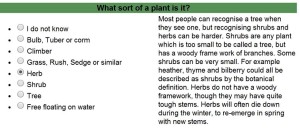 Q4 Sort of plant = rosette plant