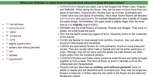 Q9 - Flower = compound (capitulum)