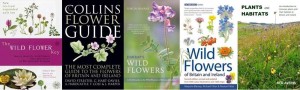 Wildflower guides 1