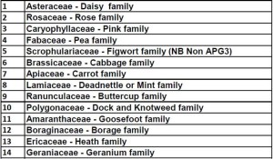 14 common plant families