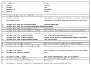 veg key groups