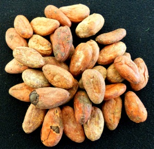 cocoa beans nigeria