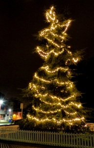 reading christmas tree