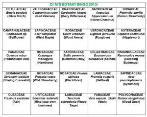 botany bingo 3