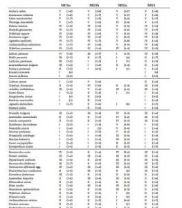 NVC table