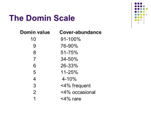 NVC domin scale