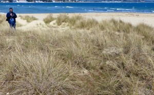 Studland sand dune quadrat