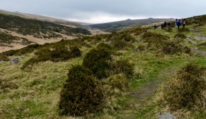 heading for wistmans wood