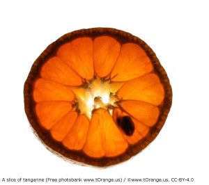 A-slice-of-tangerine-1359895722_11AB