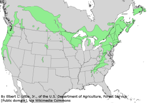 Corylus_cornuta_range_map_2AB