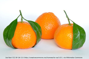 Mandarin_Oranges_AB