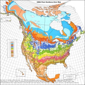 USDA zones