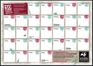 30 days wild 2016 wallchart