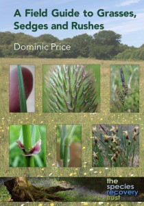 dom grasses sedges rushes