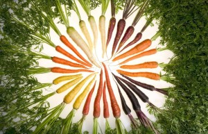 carrots_of_many_colorsw-1024x635